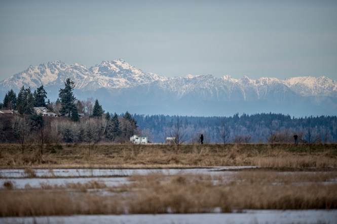 The Nisqually Wildlife Refuge is in a tidal flat and  has a view of the Olympic Mountains to the West and Mount Rainier to the East.